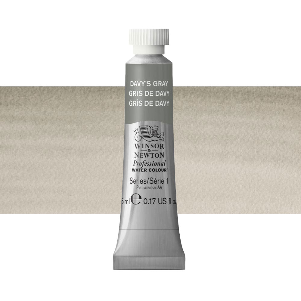 Winsor & Newton Professional Watercolour 5mL Series 1 Davy's Gray