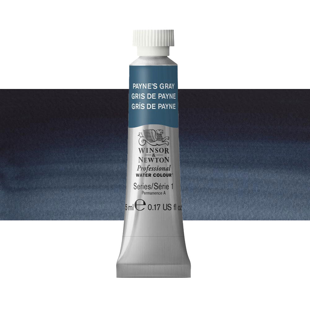 Winsor & Newton Professional Watercolour 5mL Series 1 Paynes Gray